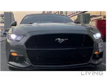 Mustang V8 Convertible – Excellent Condition | Grey | GCC Specs