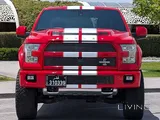 2017 Ford F150 Shelby