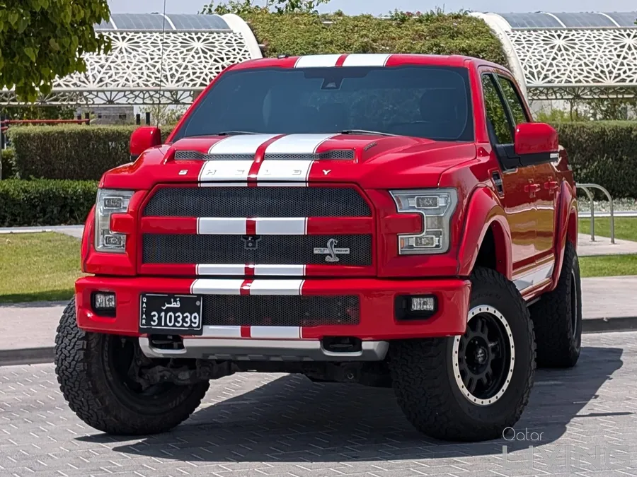 2017 Ford F150 Shelby