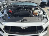 2024 Ford Mustang EcoBoost Reduced 315 HP , 2.3L Turbocharged 4-cyl