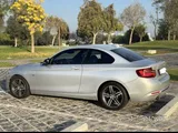 BMW 220i
