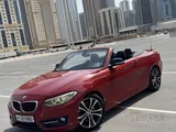 Bmw 228i Convertible