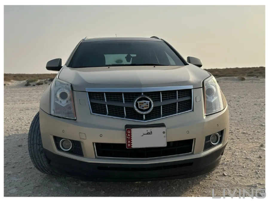 Cadillac SRX6