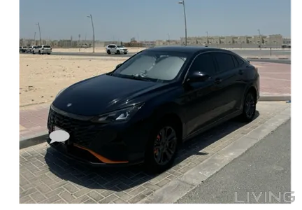 Dongfeng Forthing T5 EVO 2024