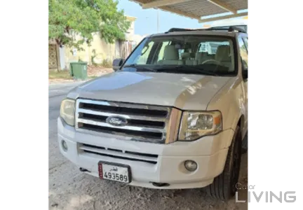 Ford Expedition XLT 2012