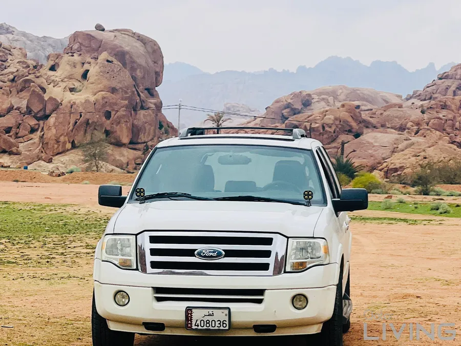 Ford Expedition XLT Model 2008 for Sale