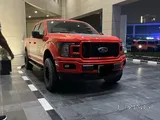 Ford F-150 Sports (Limited Edition)