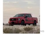 Ford F-150 Sports (Limited Edition)