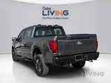 Ford F-150 Tremor 2025 Brand New