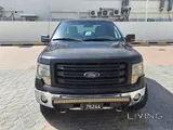Ford f150 2013