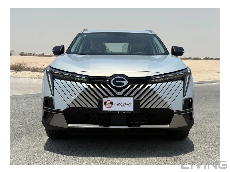 GAC Emkoo 2025 Brand New