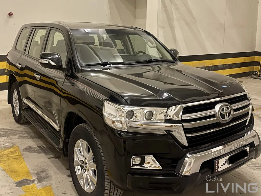 GXR 2019 V8