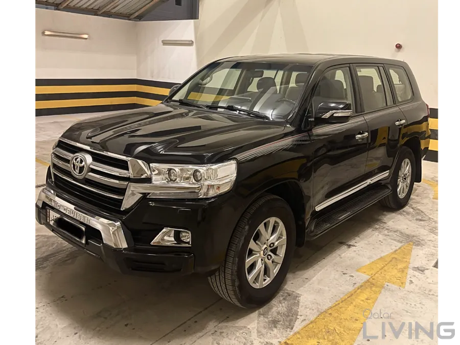 GXR 2019 V8