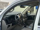 GXR V8 2019