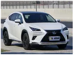 Lexus NX-300 2020