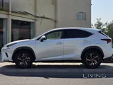 Lexus NX-300 2020