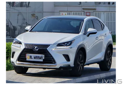 Lexus NX 300  2020