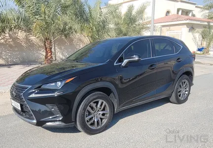 Lexus NX 300  2021