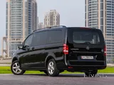 Mercedes Viano 2019