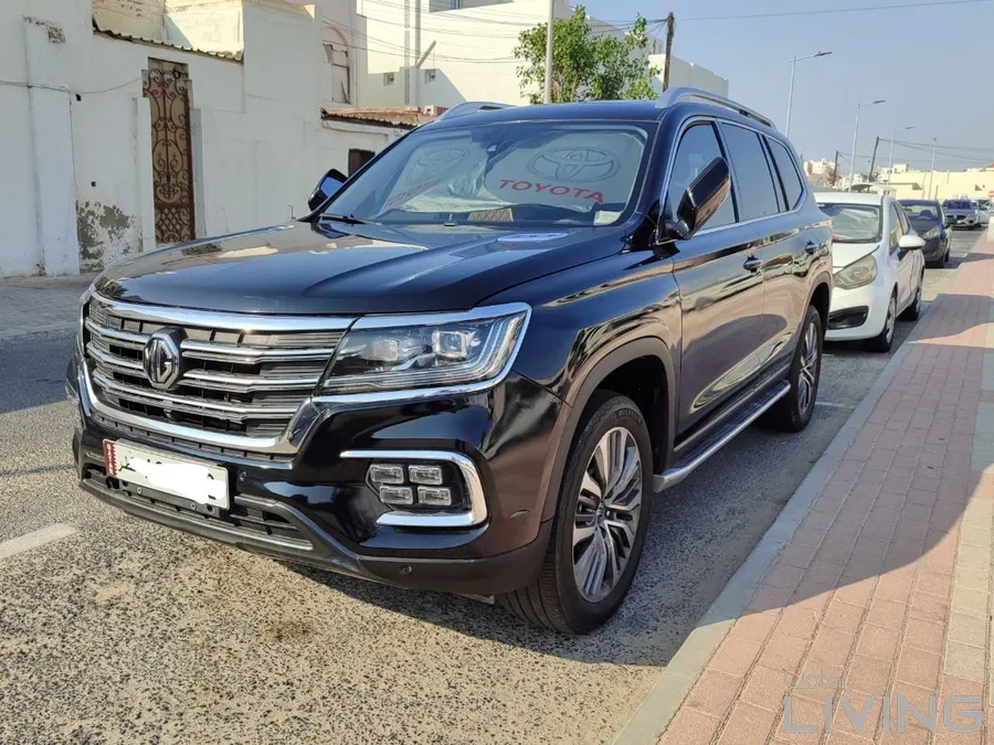 MG RX8 2023 TOP OPTION