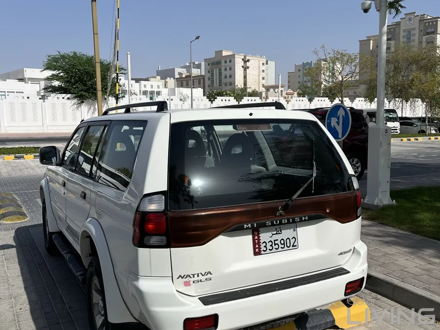 Mitsubishi Nativa 2006