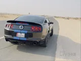 v8 mustangs cobra