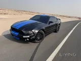v8 mustangs cobra