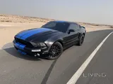 v8 mustangs cobra