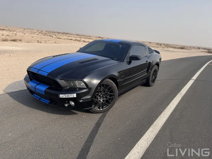v8 mustangs cobra