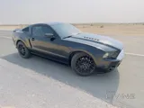 v8 mustangs cobra