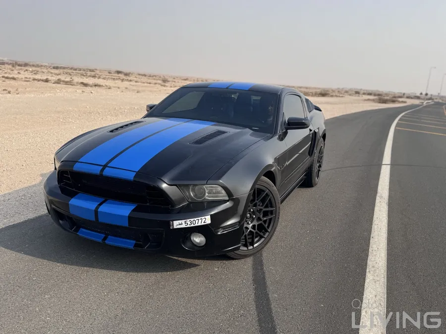 v8 mustangs cobra