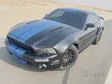 v8 mustangs cobra
