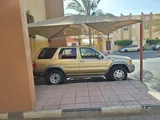 Nissan Pathfinder 2004