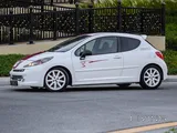 Peugeot 207 RC