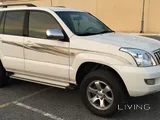 Prado 2003