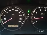 Prado 2003
