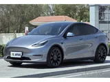 Tesla Model Y Performance Dual Motor 2024