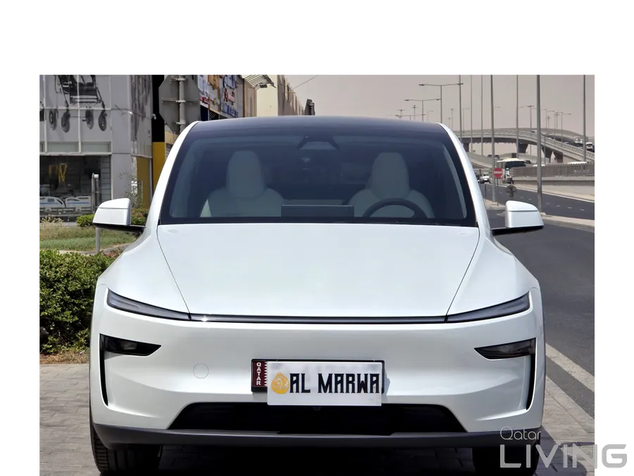 Tesla Model Y Performance Dual Motor 2025