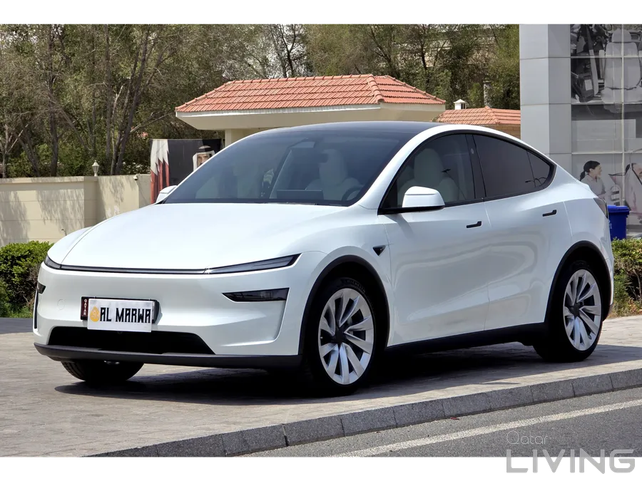 Tesla Model Y Performance Dual Motor 2025