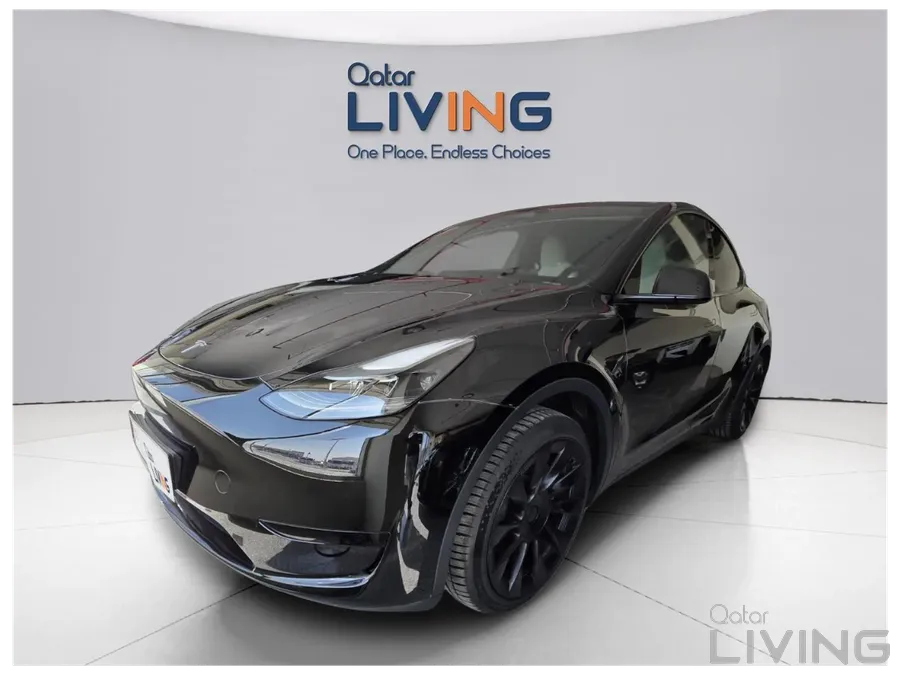 Tesla Y 2025 Brand New