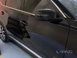 Tiggo 7 pro