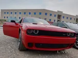Top options himmi v8 dodge challenger SRT
