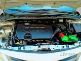 TOYOTA COROLLA 2013 GLI SPORT