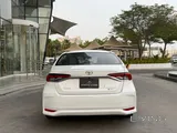 Toyota corolla hybrid 2025